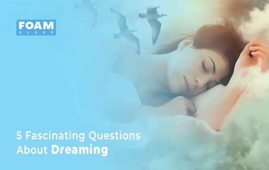 5 Fascinating Questions About Dreaming