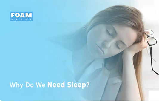 Why Do We Need Sleep?
