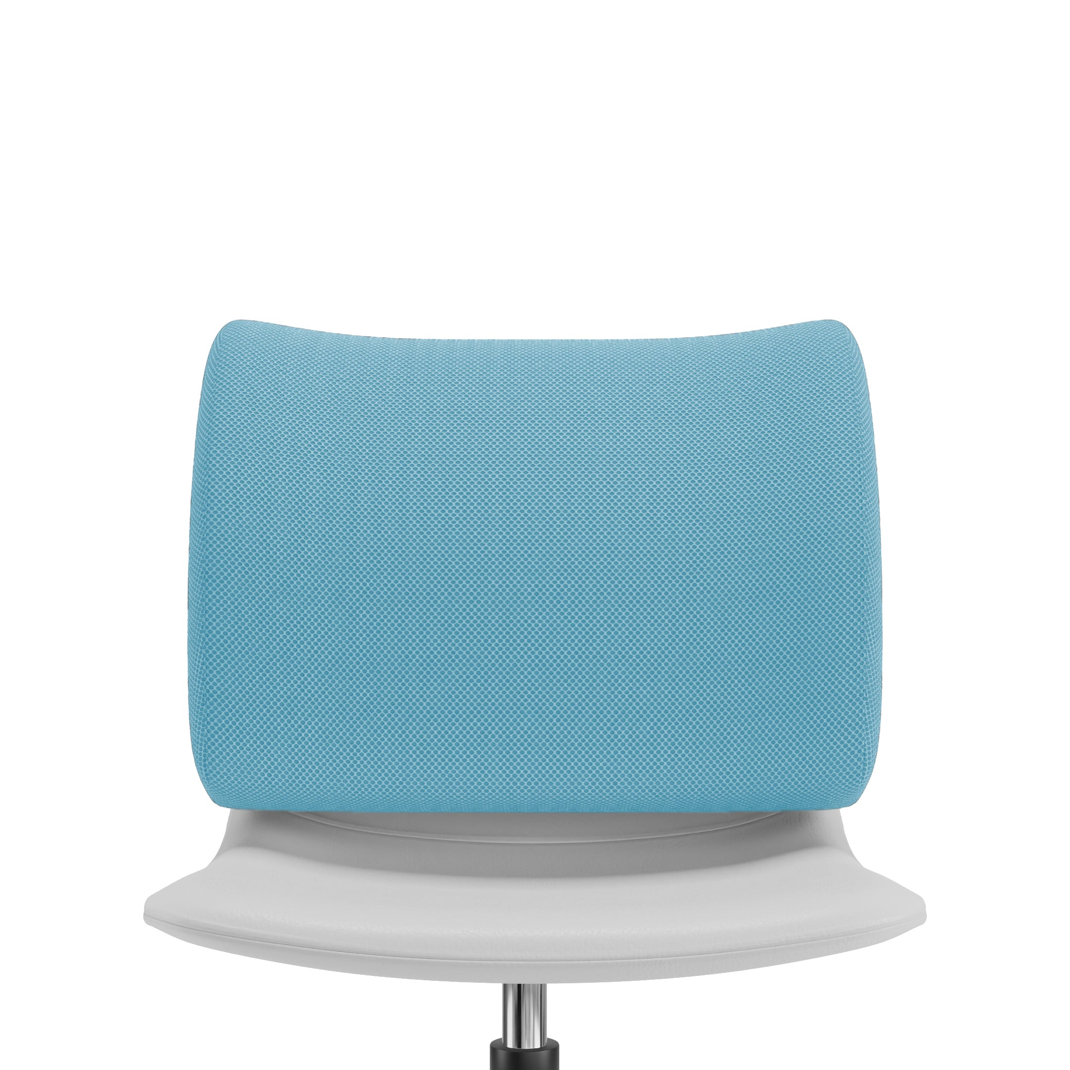 Prime Back Cushion