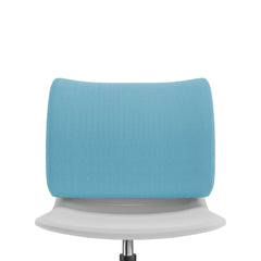 Prime Back Cushion