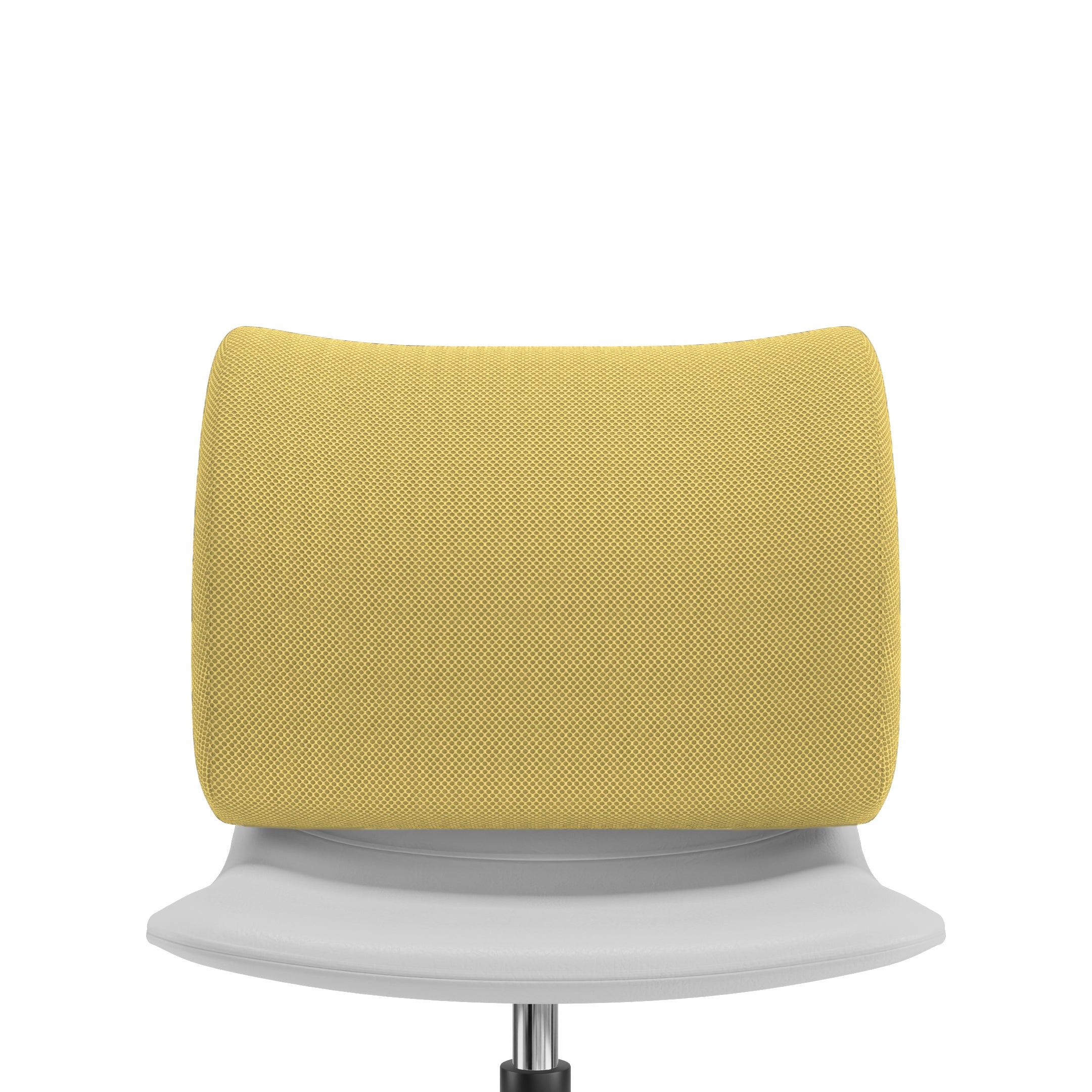 Prime Back Cushion